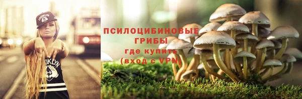 ПСИЛОЦИБИНОВЫЕ ГРИБЫ Алзамай