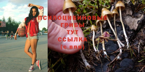 СК Алексеевка