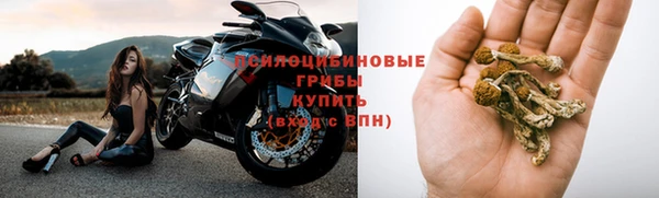 СК Алексеевка