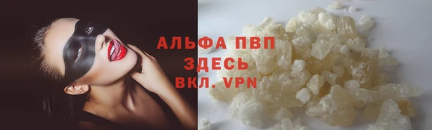 СК Алексеевка