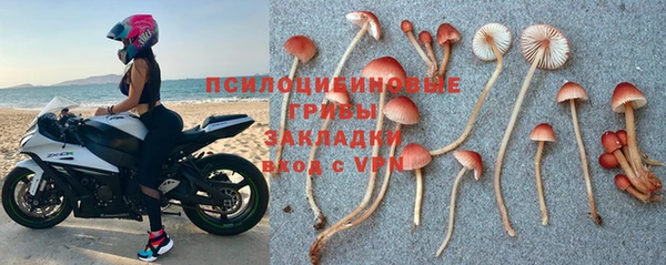 СК Алексеевка