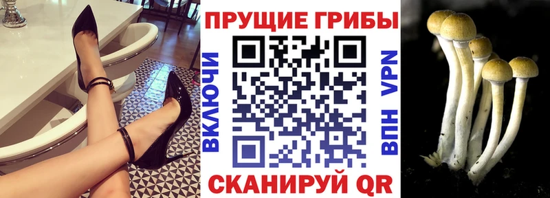 Галлюциногенные грибы мухоморы  Слободской 