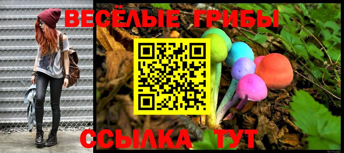 Слободской  Галлюциногенные грибы мухоморы  Вход с VPN  как найти   Псилоцибиновые грибы Psilocybine cubensis 